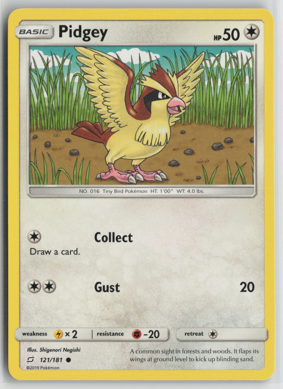 Pidgey (121) Common SM - Team Up 121/181 NM