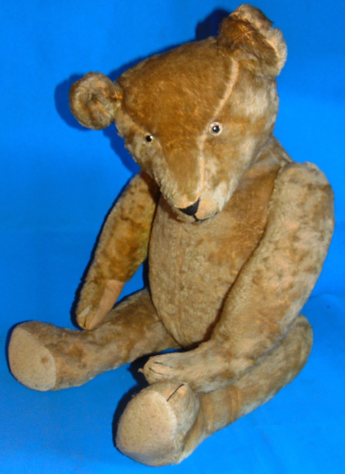 X RARE Fabulous  early 1900  Large  32  inches  German  antique   teddy  bear