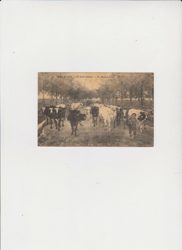 21147       Carte Postale