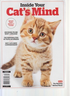 Inside Your Cat's Mind 2020 What They Really Think/Decoding Feline Body Language