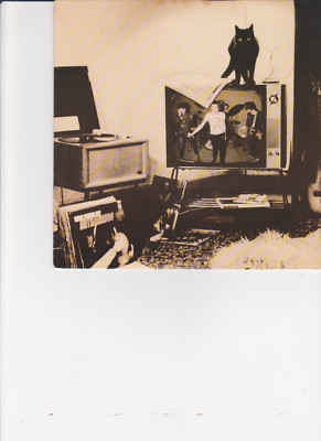 Alternative TV - UK 7'' 45 How Much Longer + You Bastard NM (Mark P Sniffin Glue)