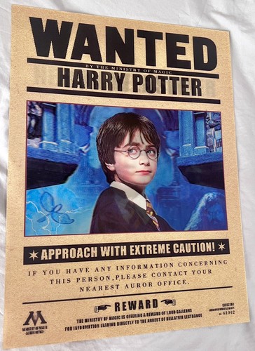 Harry, Ron,Hermione-3D Lenticular Flip Effect- 3 Images Changes,3 In One