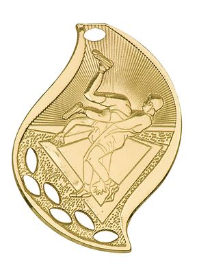 Wrestling Medal Award Trophy With Free Lanyard FM117 School Team Sports