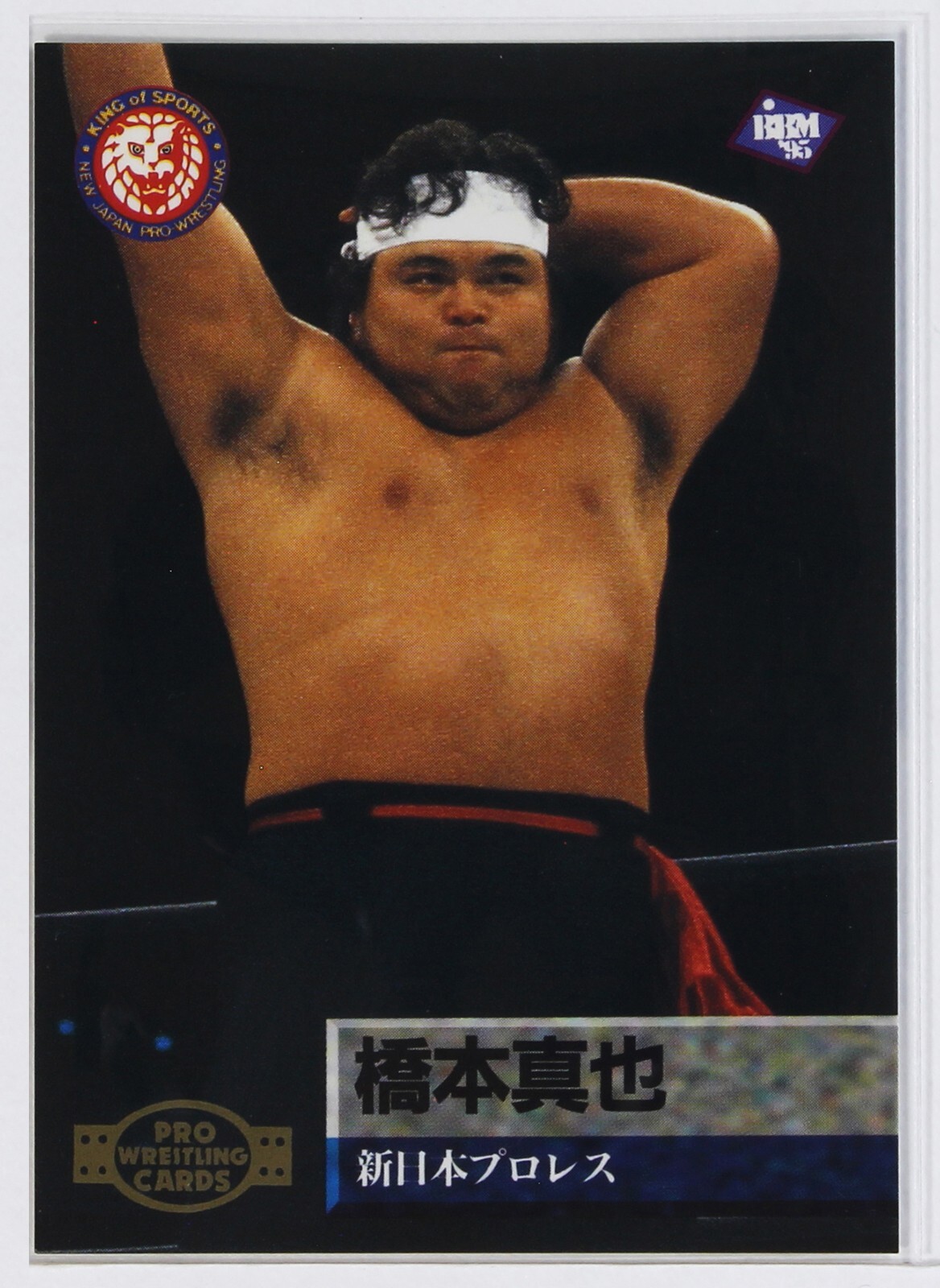 1995 BBM プロレスカード　ワイルドペガサス　クリス・ベノワ　PSA10 1995 BBM プロレスカード ワイルドペガサス クリス・ベノワ