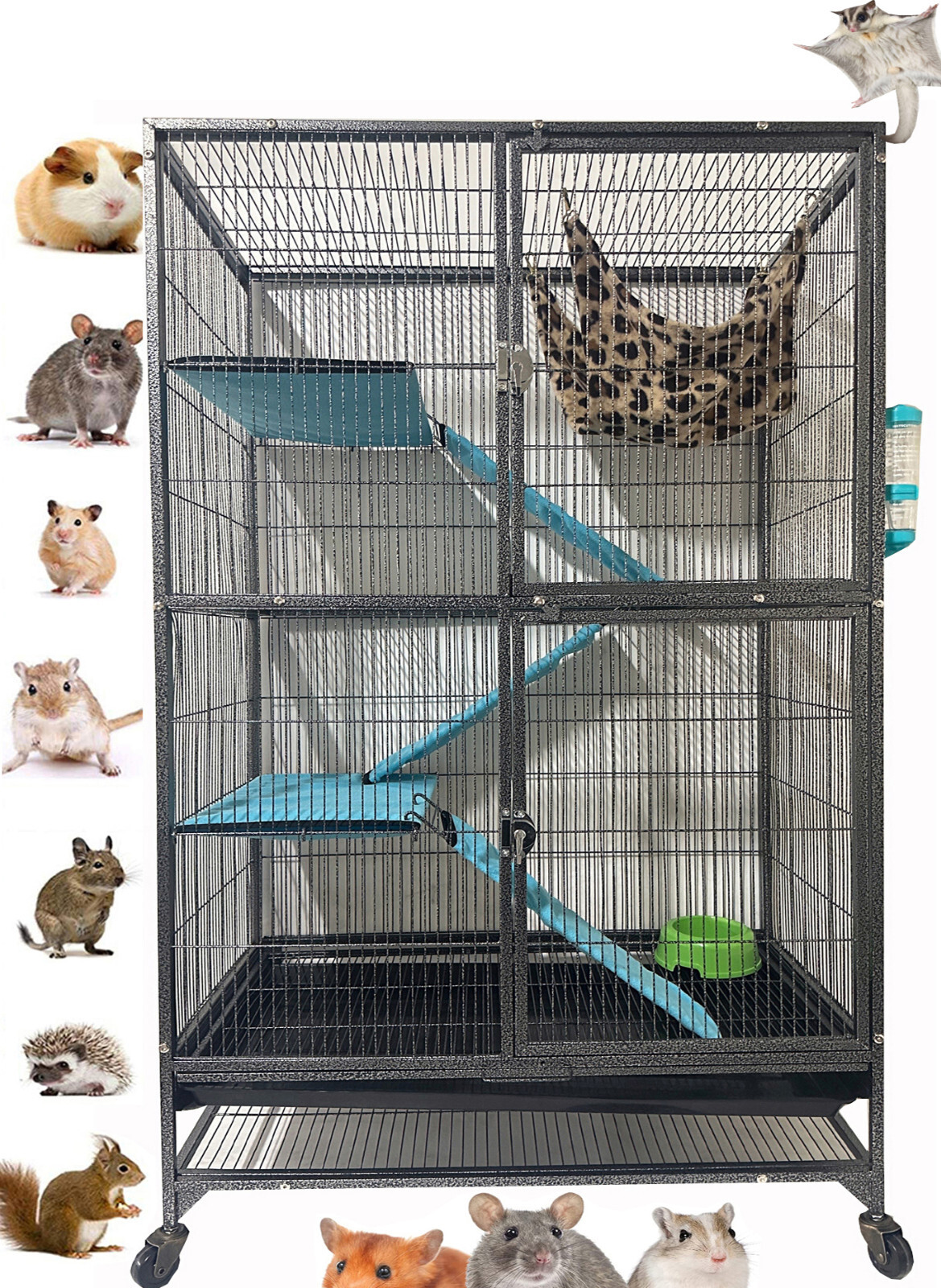 Ferrets, Rabbits, and Rodents 獣医　エキゾチック Ferrets, Rabbits, and Rodents | ScienceDirect