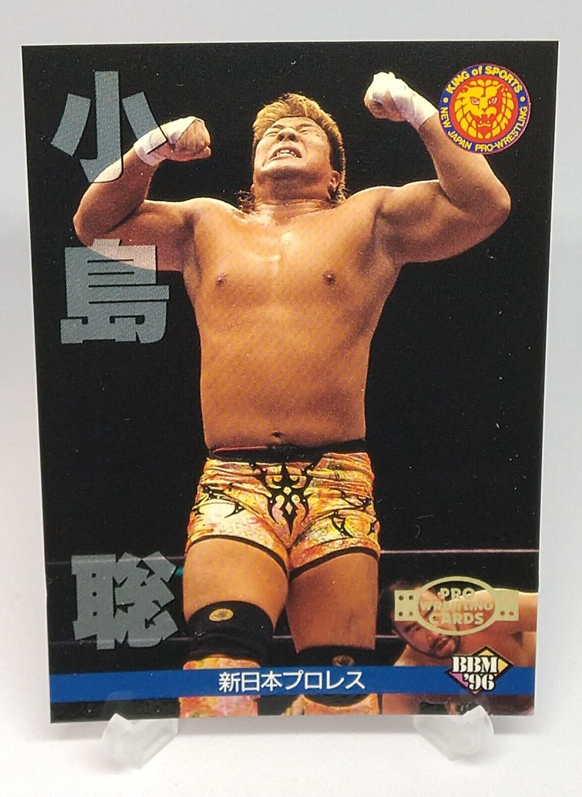 即決! 1996 別個 J Cards ヒーローズセレクション サッカー 未