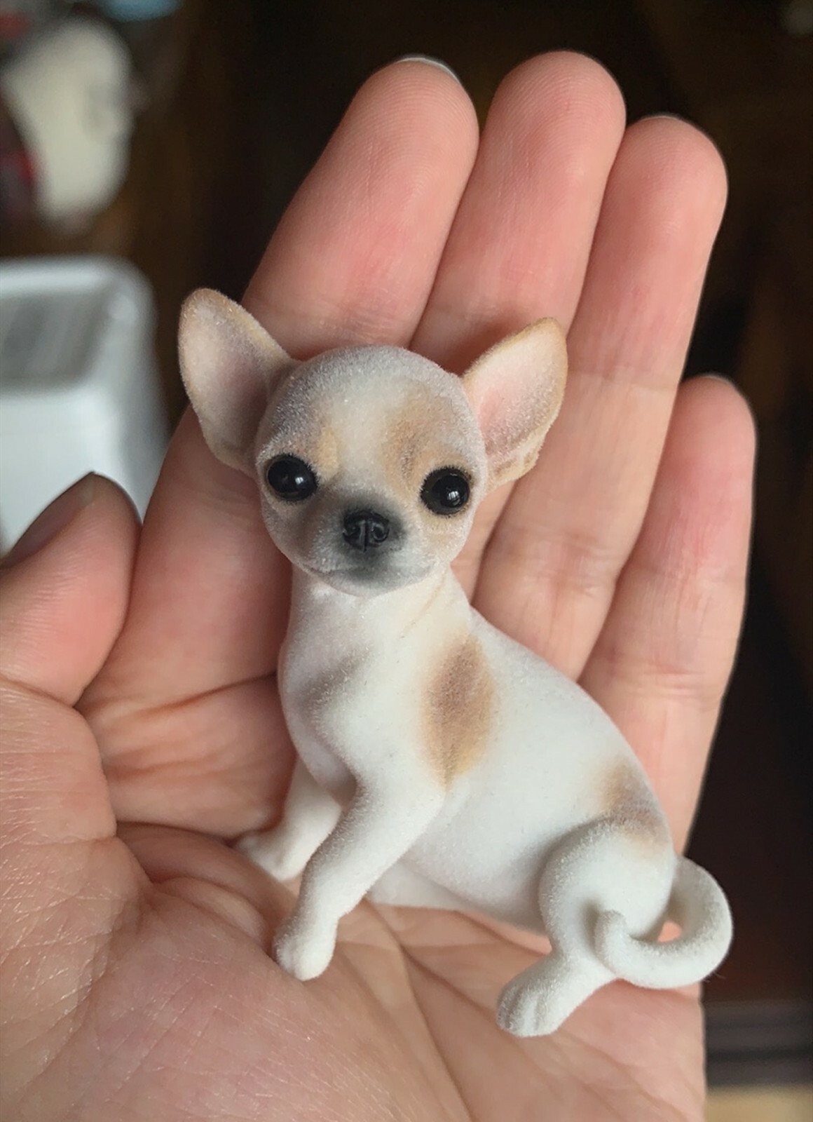 myoukai.dog k9-doga.jpg?ve=1&tl=1