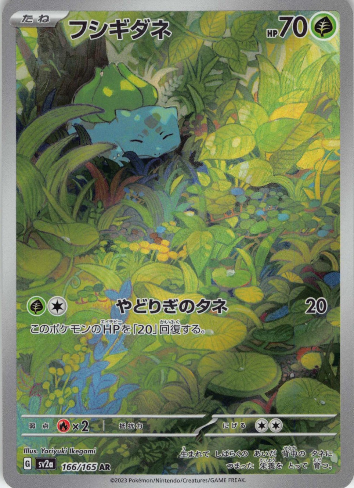 パルデアウパー　パルデアドオー　PSA10 PSA10】 パルデアウパー 《AR仕様》 (プロモ) {193/SV-P} [SV