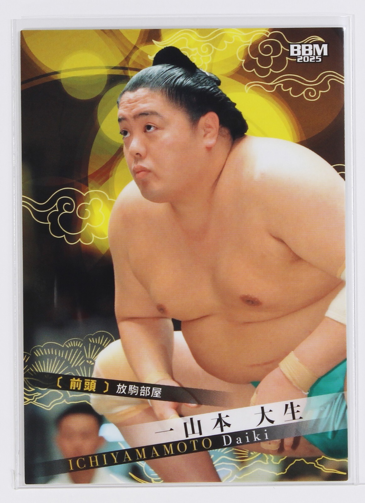 sumomo☆ Amazon.com: Atomos ATOM19SUN1 Blackout Sun Hood for SUMO19