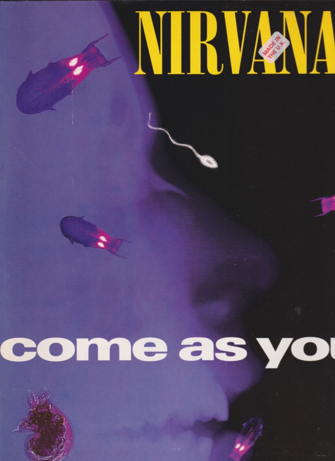 nirvana come as you are 12