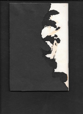 UNIVERSITY OF ILLINOIS AT URBANA - VINTAGE 1955 HONORS DAY PROGRAM