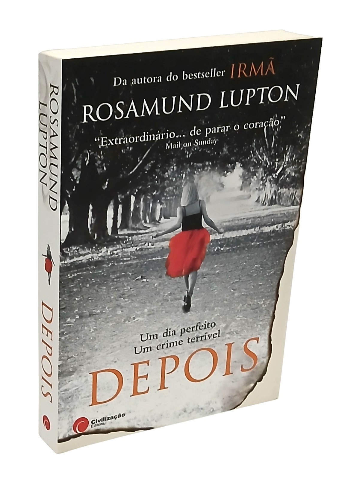 "DEPOIS" de ROSAMUND LUPTON (livro em português de Portugal)