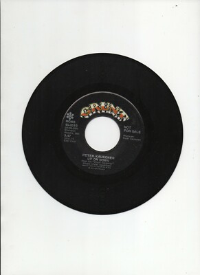Peter Kaukonen Up Or Down That's A Good Question 7'' Mono 45rpm Promo Single 