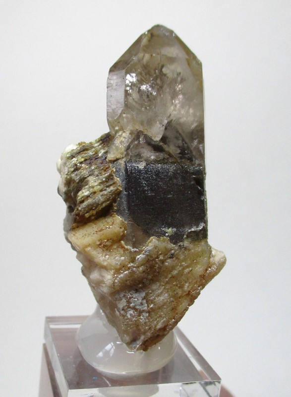 +++ Rauchquarz X, Muskovit -- Epprechtstein, Fichtelgebirge, Bayern +++