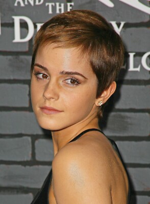 Emma Watson (Vol 6) 5,600 Pictures Collections supplied on DVD