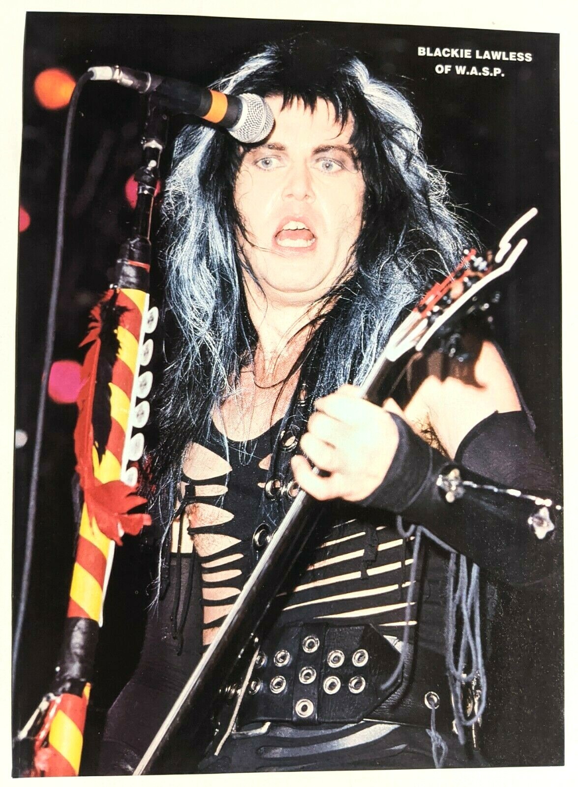 Wasp ギター　ピック　Blackie lawless Wasp ギター ピック Blackie lawless ピック Blackie lawless