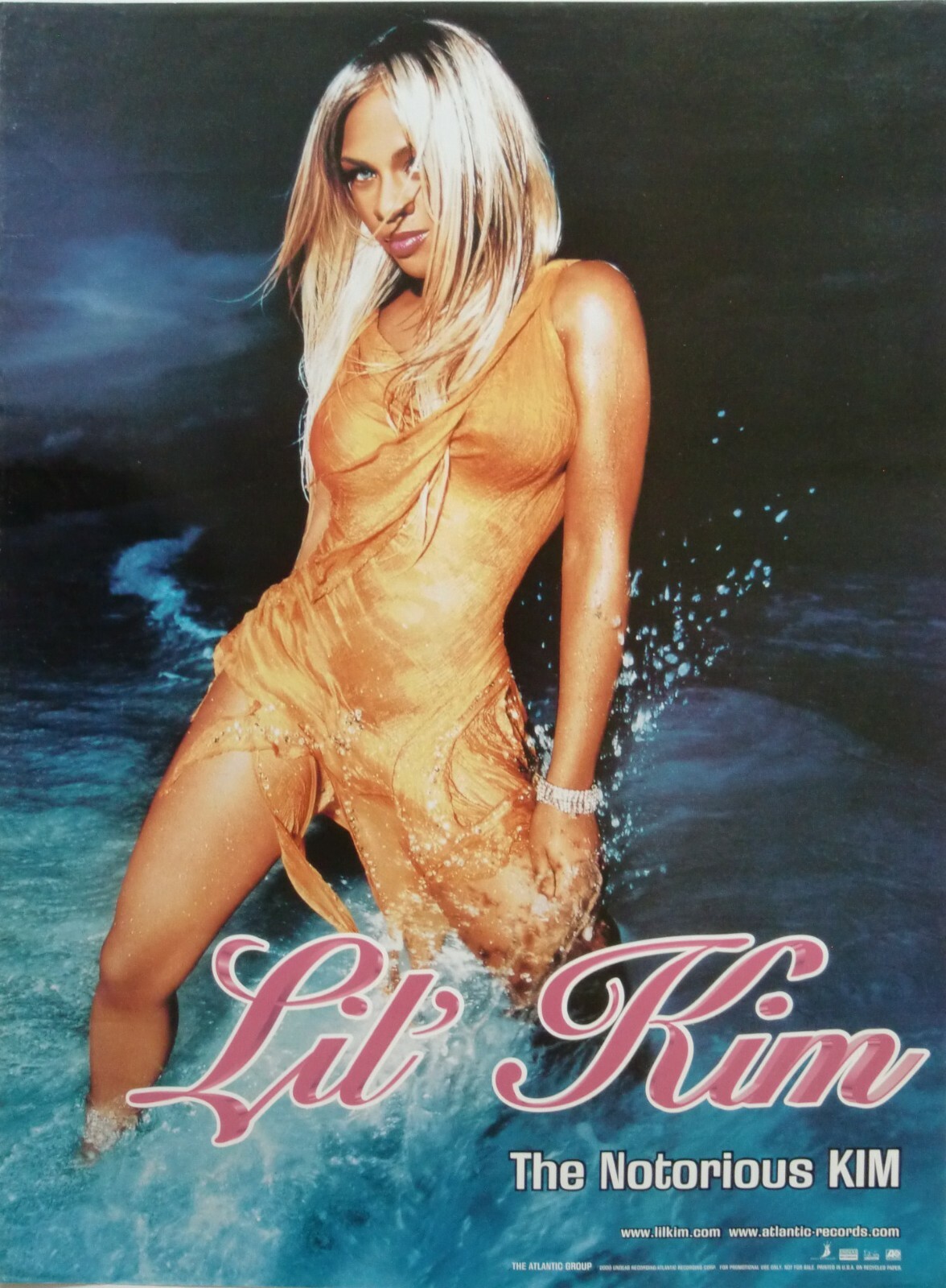 Lil'Kim The Notorious KIM フルグラフィックシャツ Lil'Kim The Notorious KIM フルグラフィックシャツ ミュージシャン