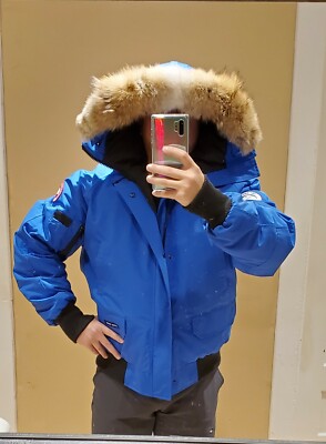 Pre-owned Canada Goose Latest Grey Label Edition  Blue Pbi Chilliwack Large Bomber Jacket In Royal Blue (polar Bear Limited Edition) Pbi