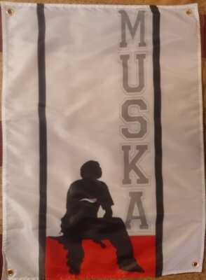 Shortys Skateboards Chad Muska Banner ES Shoe Rodney Mullen Powell Tony Hawk 90s