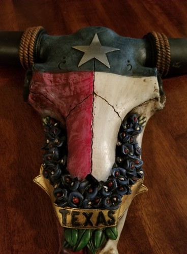 Texas Bluebonnet Skull Wall Decoration