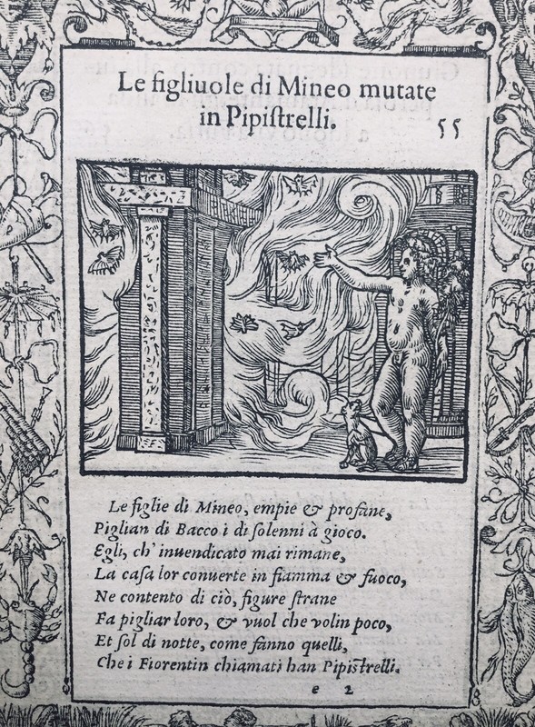 1559 Hydre Gravures Hydra Chauve-Souris HerpÃ©Tologie Junon Metamorfoseo Ovide