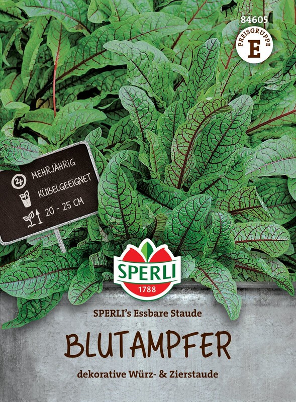 Blutampfer 'Essbare Staude' - Rumex Sanguineus, Sauerampfer, Samen, 84605