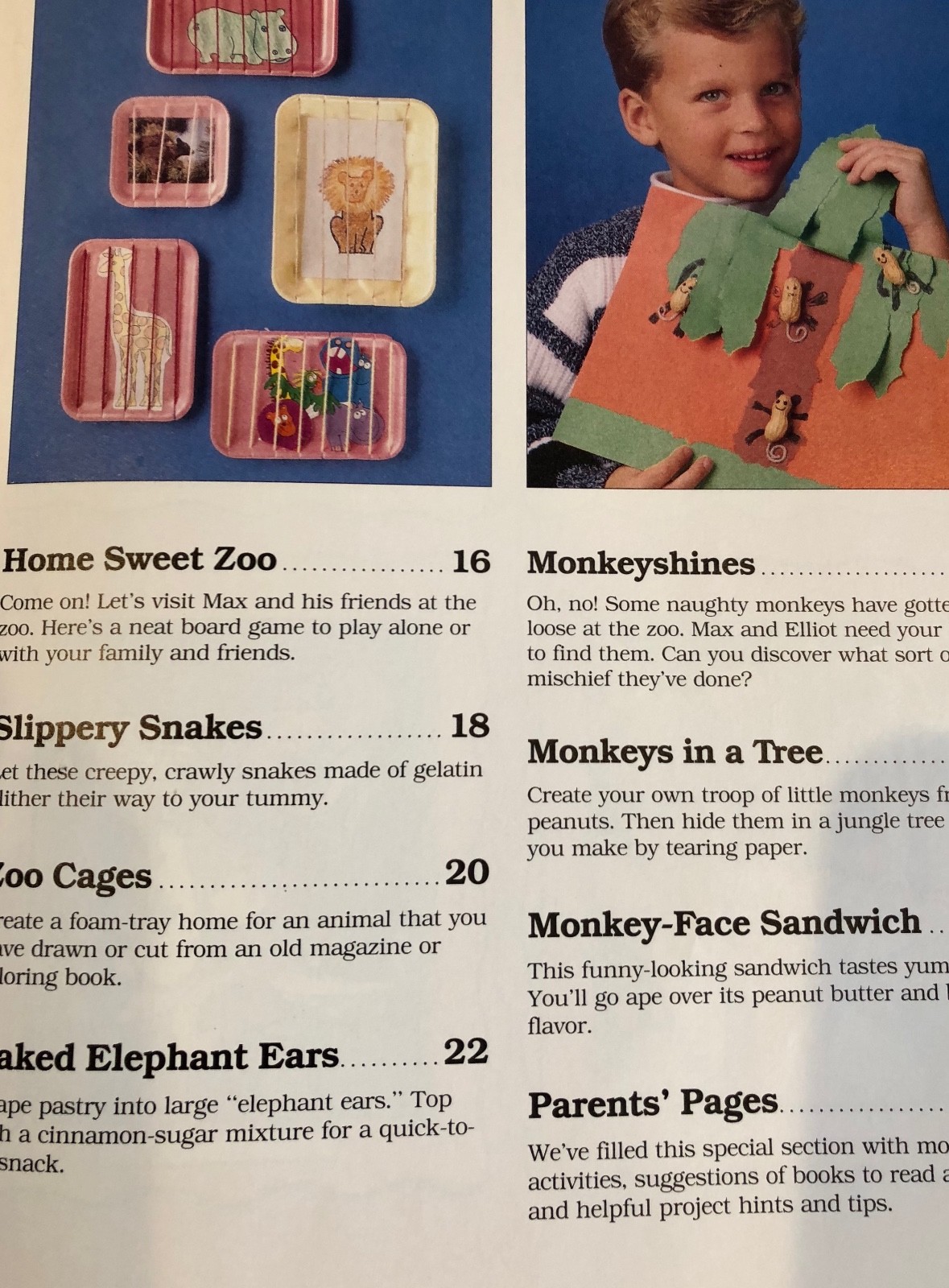 Children's Craft, Cooking, Science Nature Book At the Zoo Book
