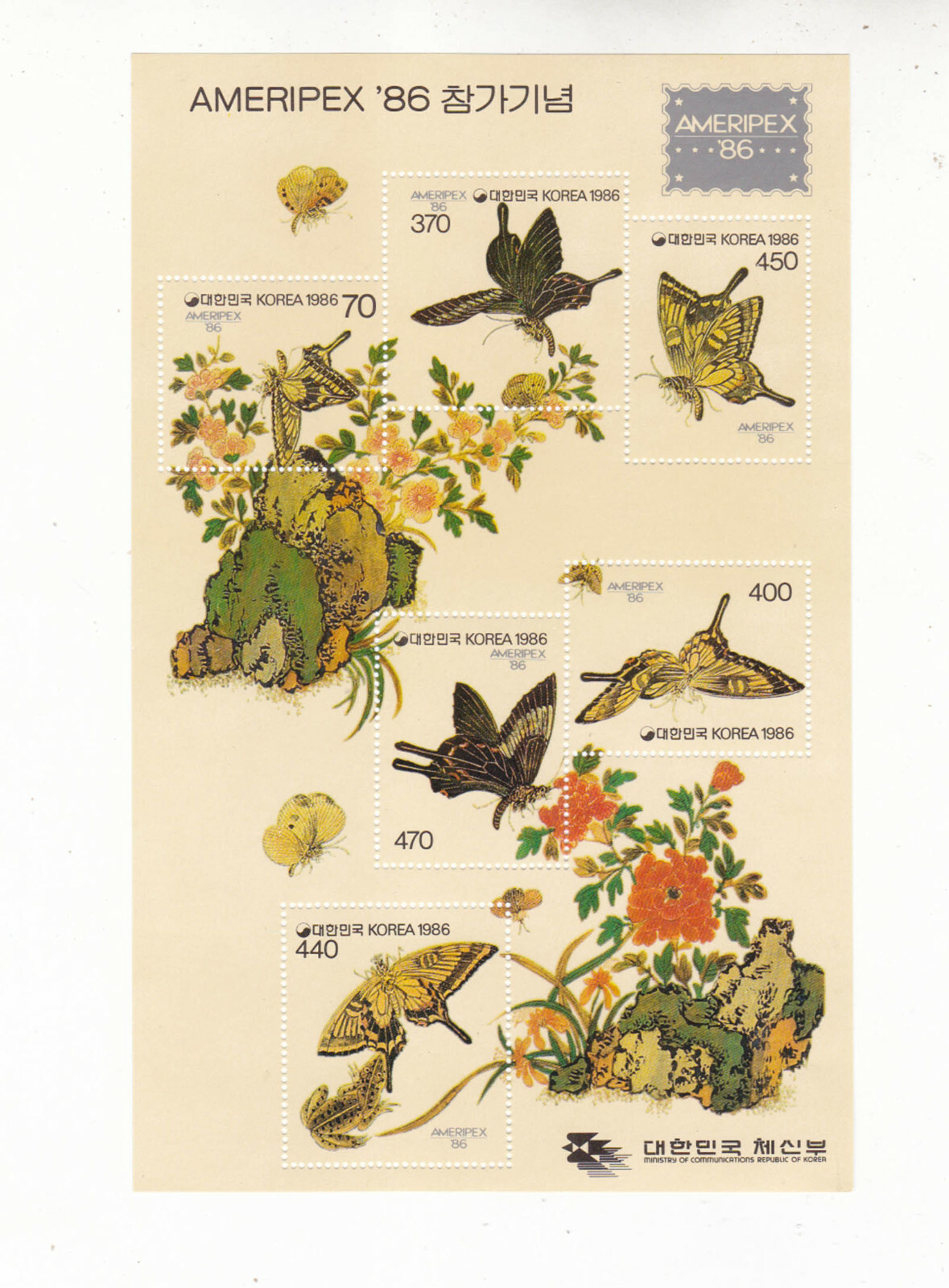 洋書 Butterflies from China, Japan, and Corea Amazon | Butterflies from China, Japan, and Corea, Volume 1