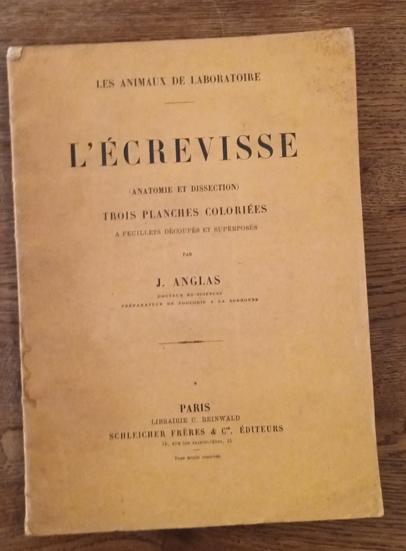 1904*L'Ecrevisse Anatomie Et Dissection*3 Planches Ã  Feuillets*J. Anglas*Rare