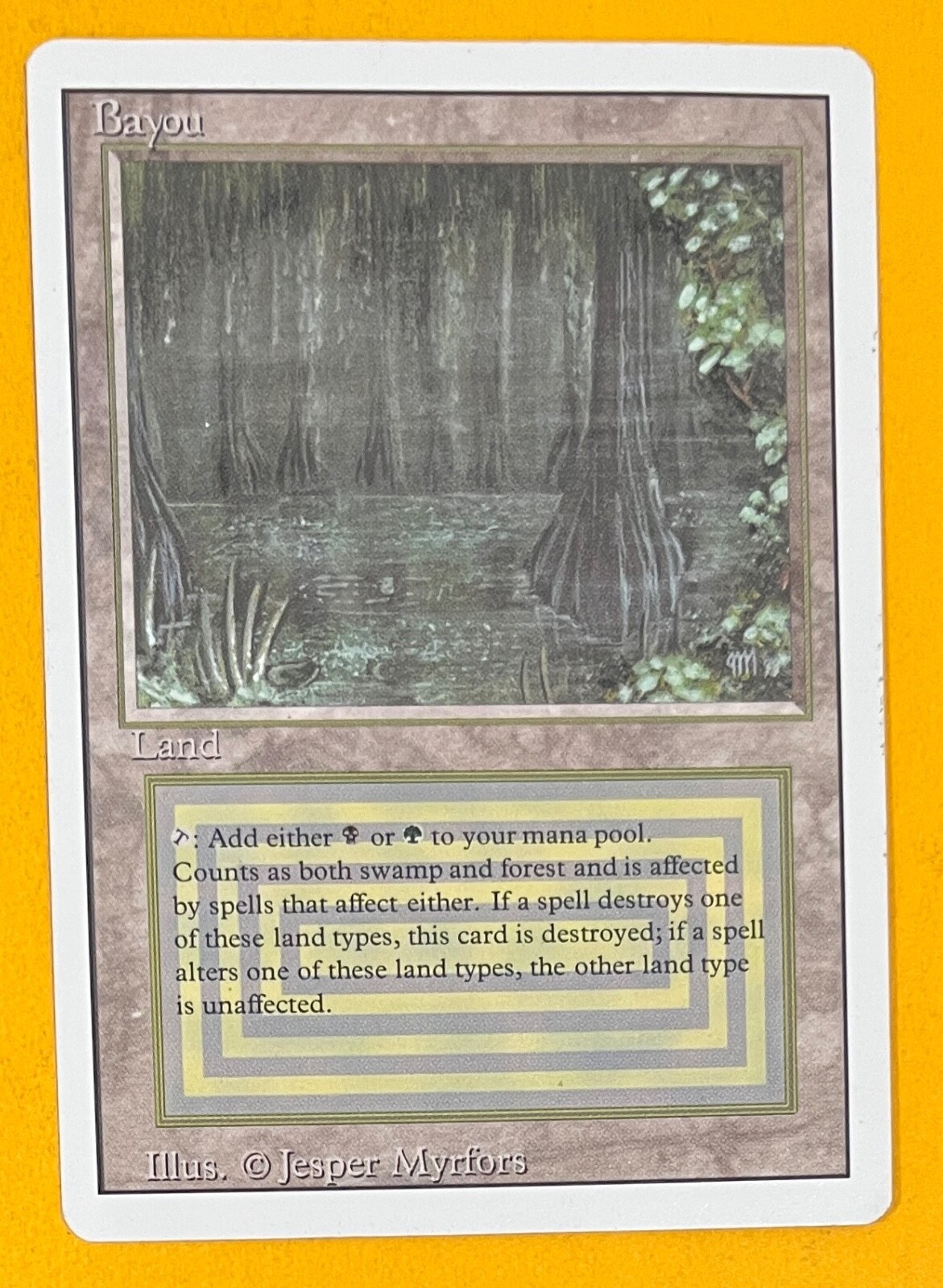MTG Bayou ③ Bayou.jpg