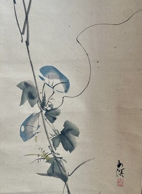 Foto dell'oggetto di un acquirente verificato