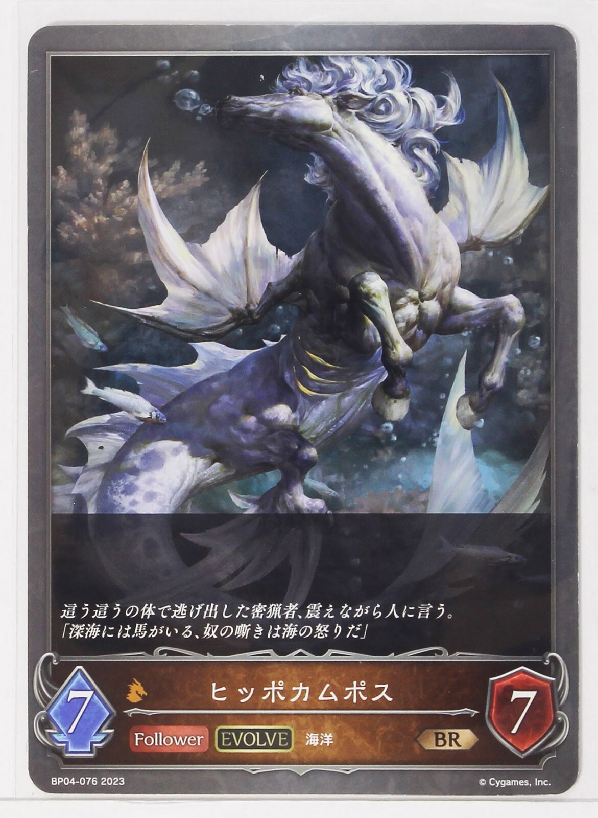 大槻唯 PSA10 SP Shadowverse EVOLVE PSA 10 Special Week Signed Shadowverse Evolve Uma Musume