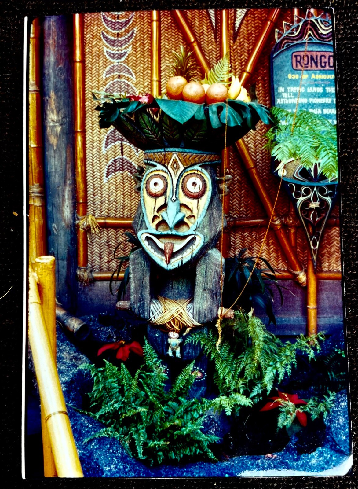 LASSEN ドルフィン イン ワンダーランド ＆ファウンテン マジック Walt Disney's Enchanted Tiki Room 2011 - YouTube