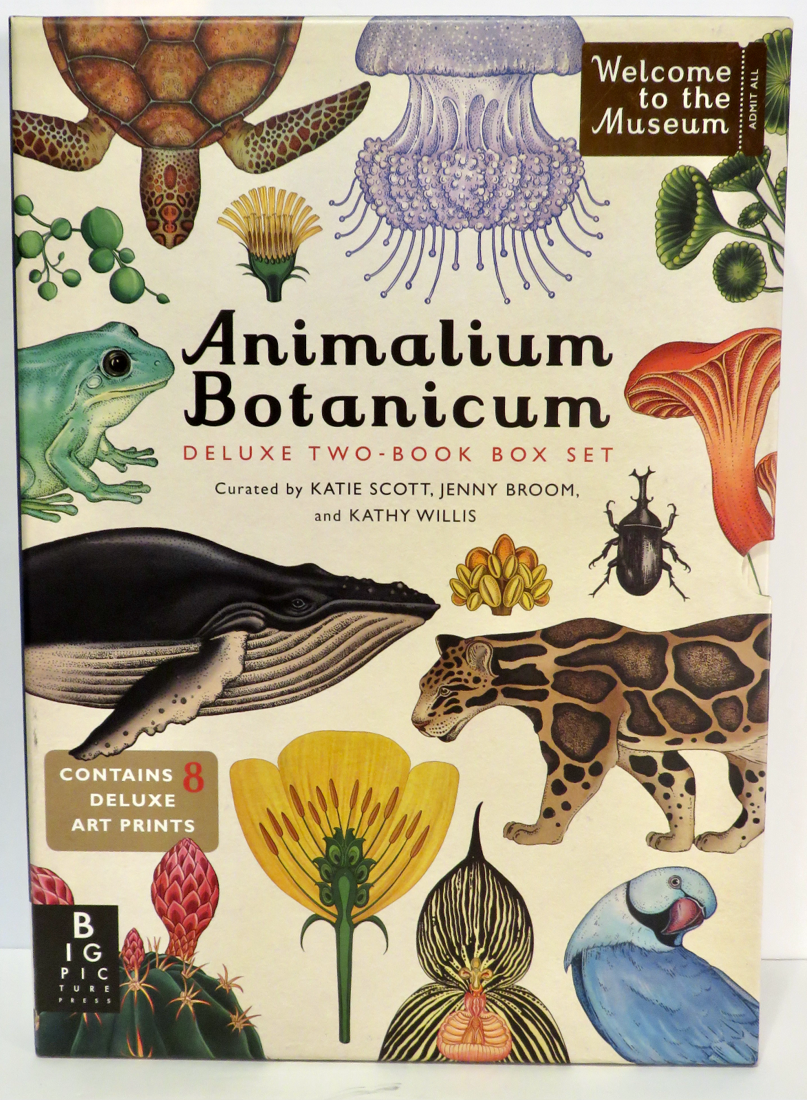 Animalium Botanical Deluxe Two-Book Boxed Set by Scott Broom