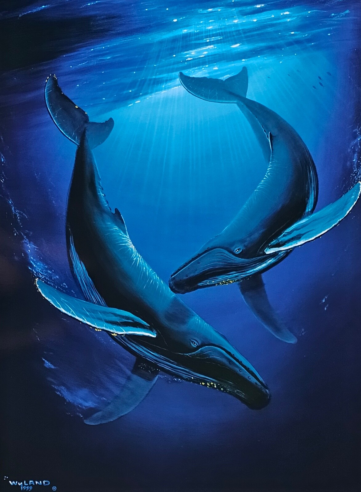 アート・デザイン・音楽 THE WHALE'S EYELASH Wyland Song of the Deep humpback whales art HAND SIGNED #'d