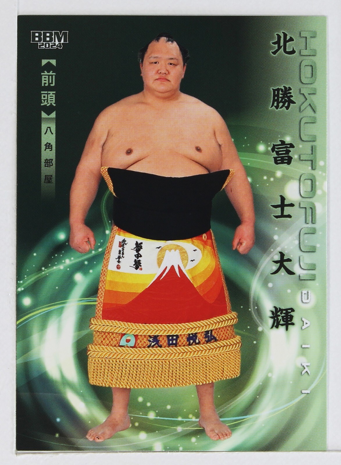 WCW カード 72枚 $_57.JPG?set_id=880000500F