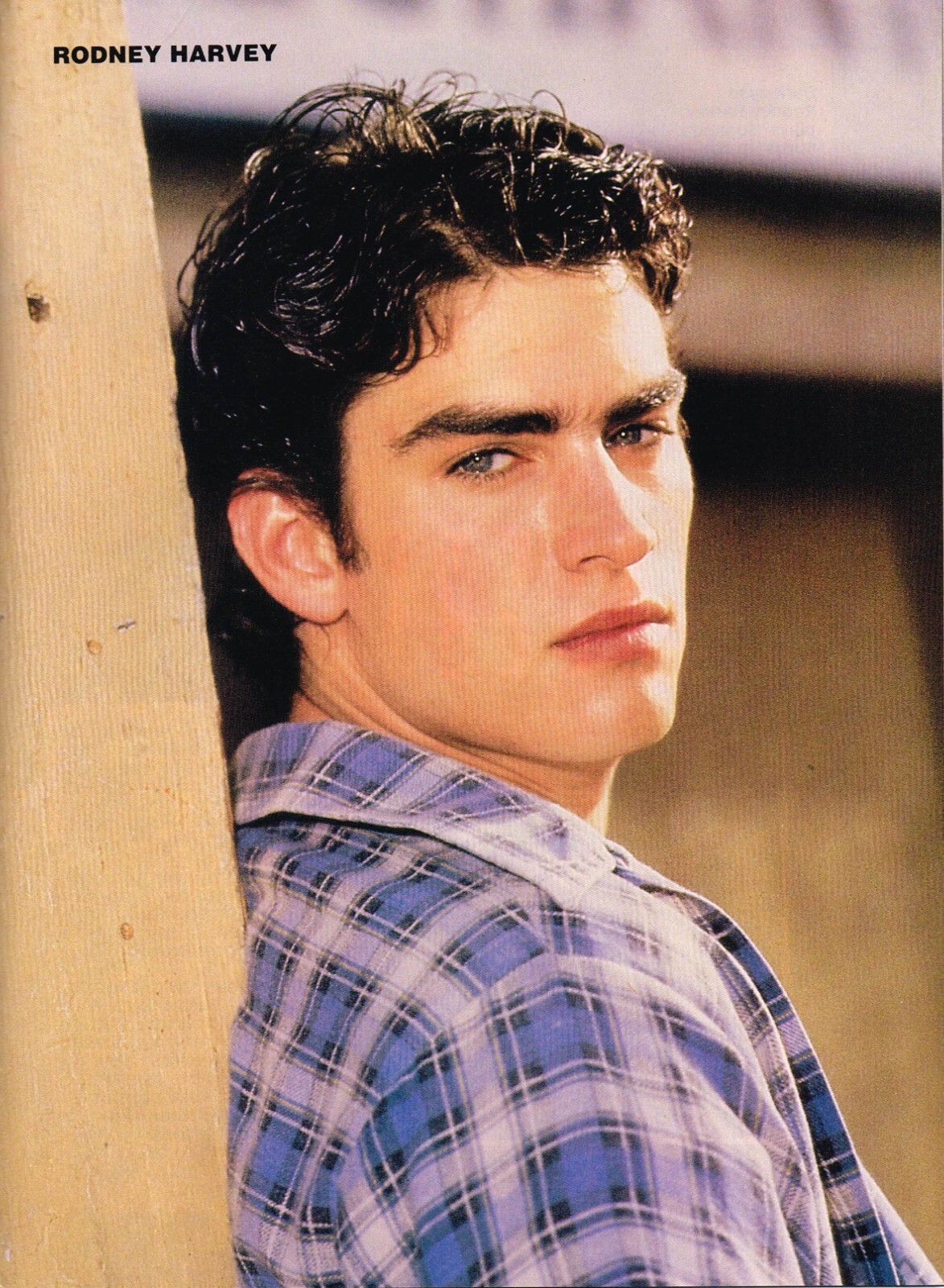 「THEOUTSIDERS」ポスター 713RdNI9dSL._UF894,1000_QL80_.jpg