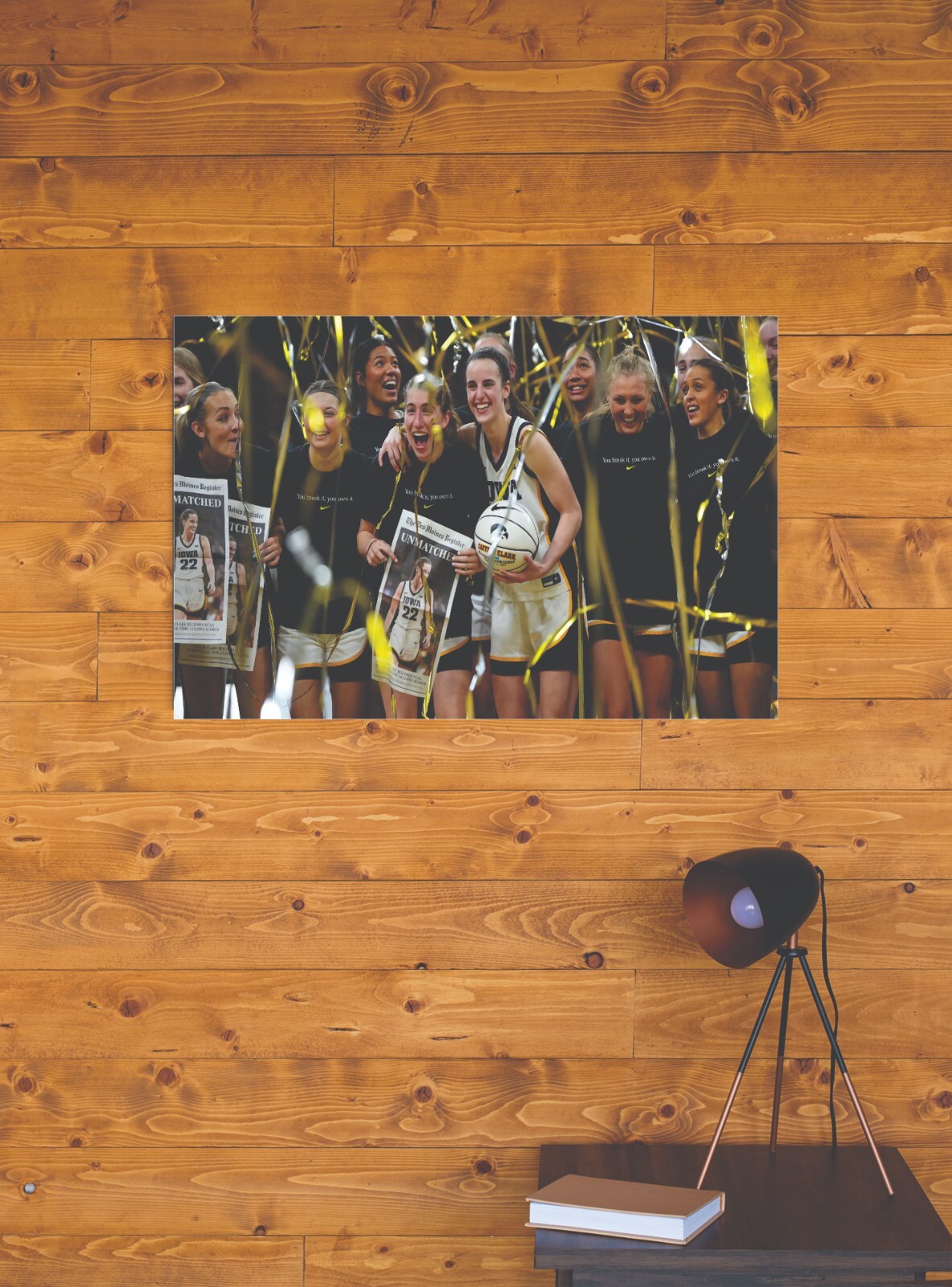 CAITLIN CLARK STRETCHED CANVAS WALL ART READY TO HANG CP209