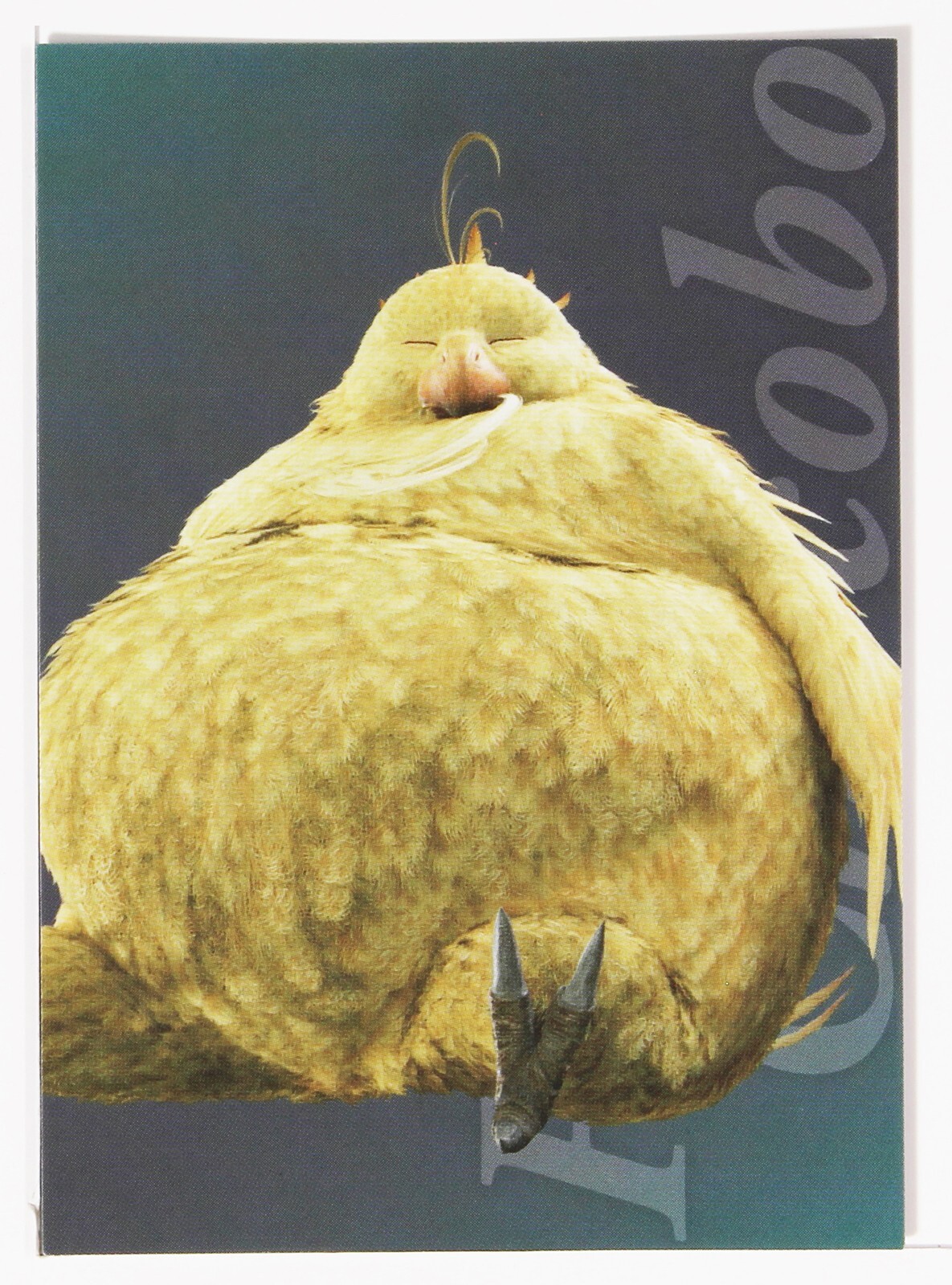 FINAL FANTASY XI ピヨピヨヒナチョコボ　チョコボ Final Fantasy XI Piyo Pipi Hina Chocobo