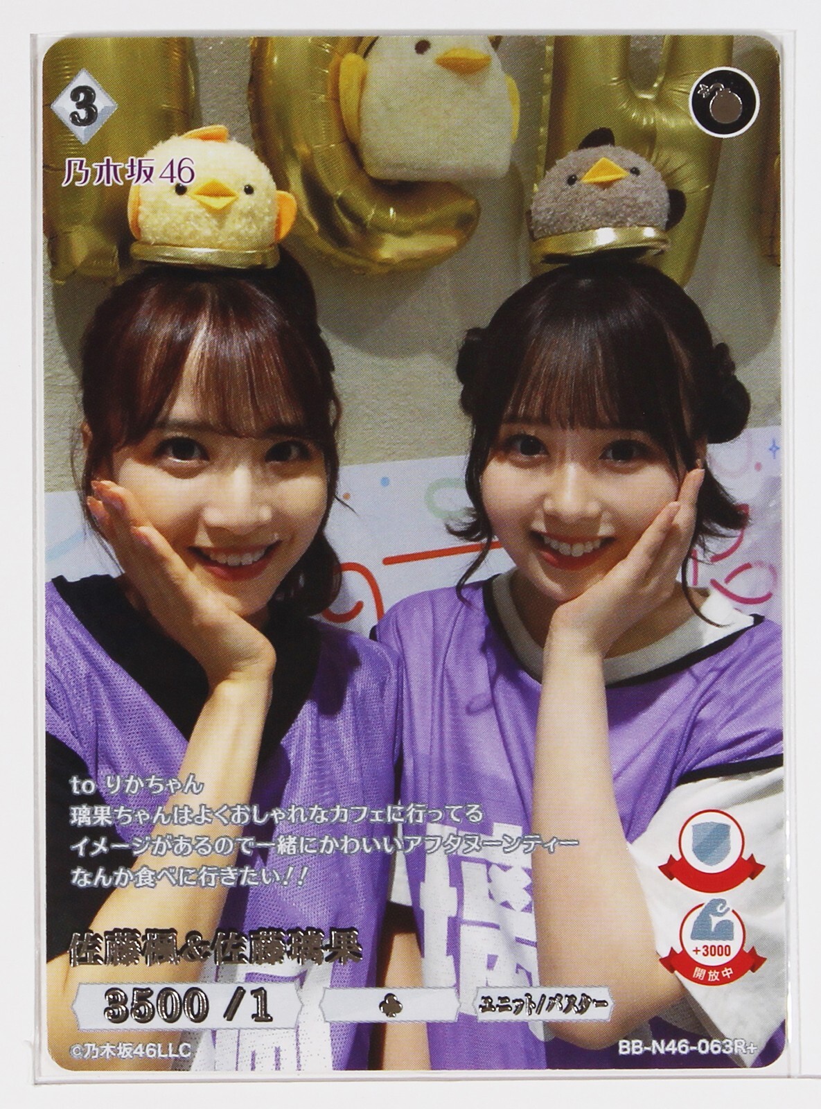 Kaede Sato & Rika Sato (N46-063R plus) - Build Divide