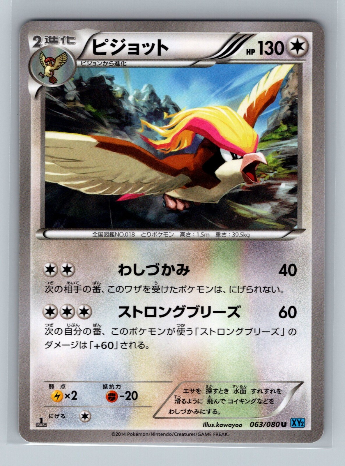 ポケモン - ポケモンカード ピジョット PSA 1997 PIDGEOT Japanese Pidgeot #18 PSA 10 1997 Japanese Jungle Pokemon Card Gem