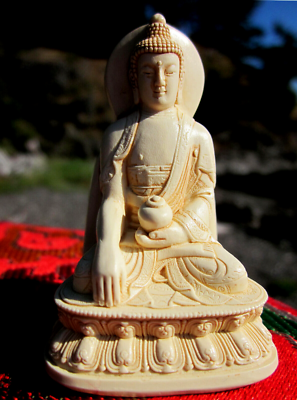 Buddha bc sale