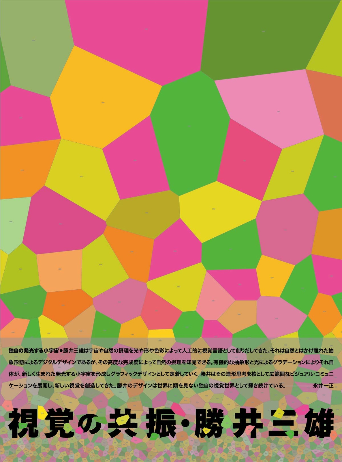 Mitsuo Katsui Resonance of the visual Graphic Design Book from