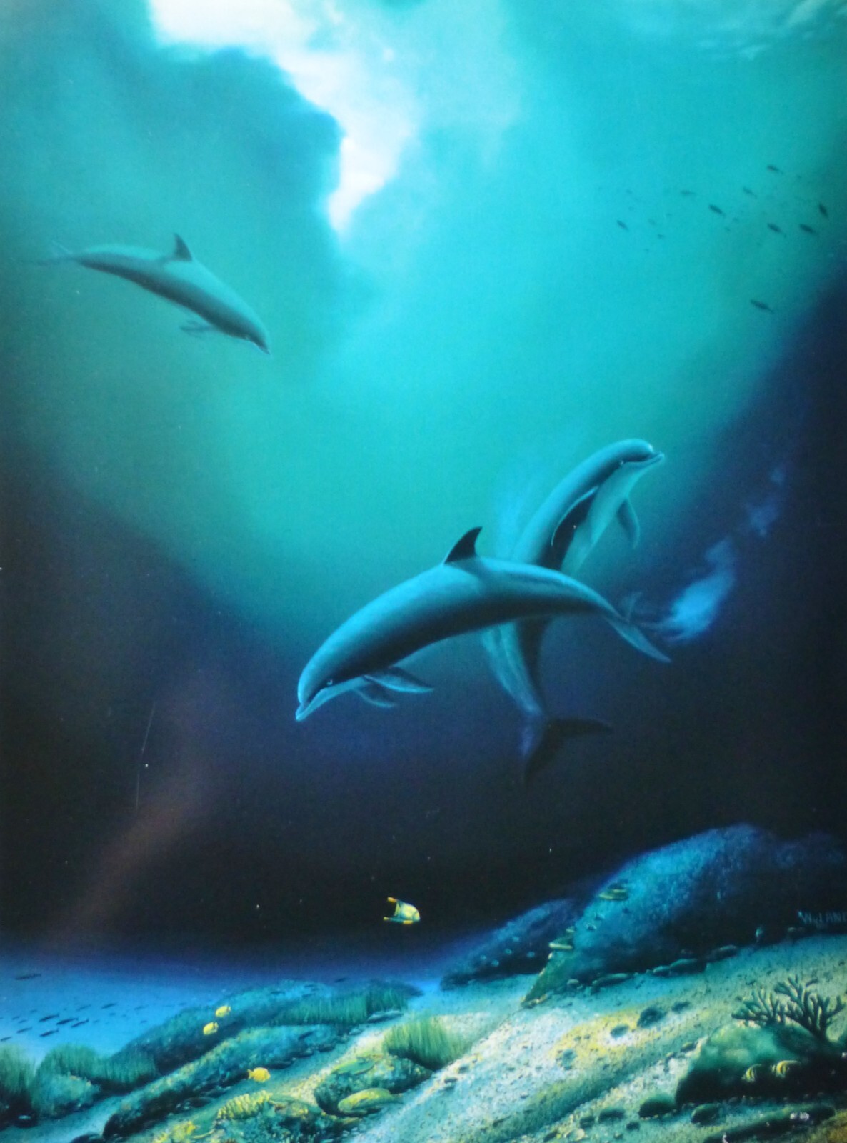 _57.JPG?set_id=880000500F