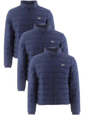 Lacoste jacket clearance mens