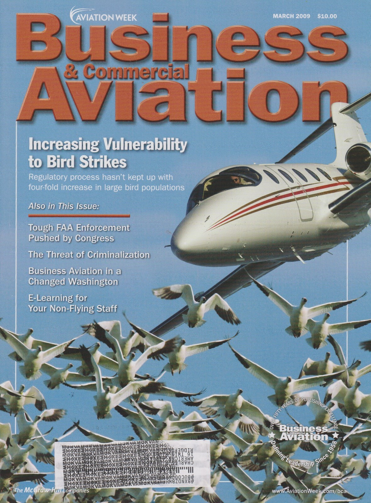 BLARNY A REPORT OF THE BIRDSTRIKE ほぼ新品 BLARNY A REPORT OF THE BIRDSTRIKE ほぼ新品 Bird strike