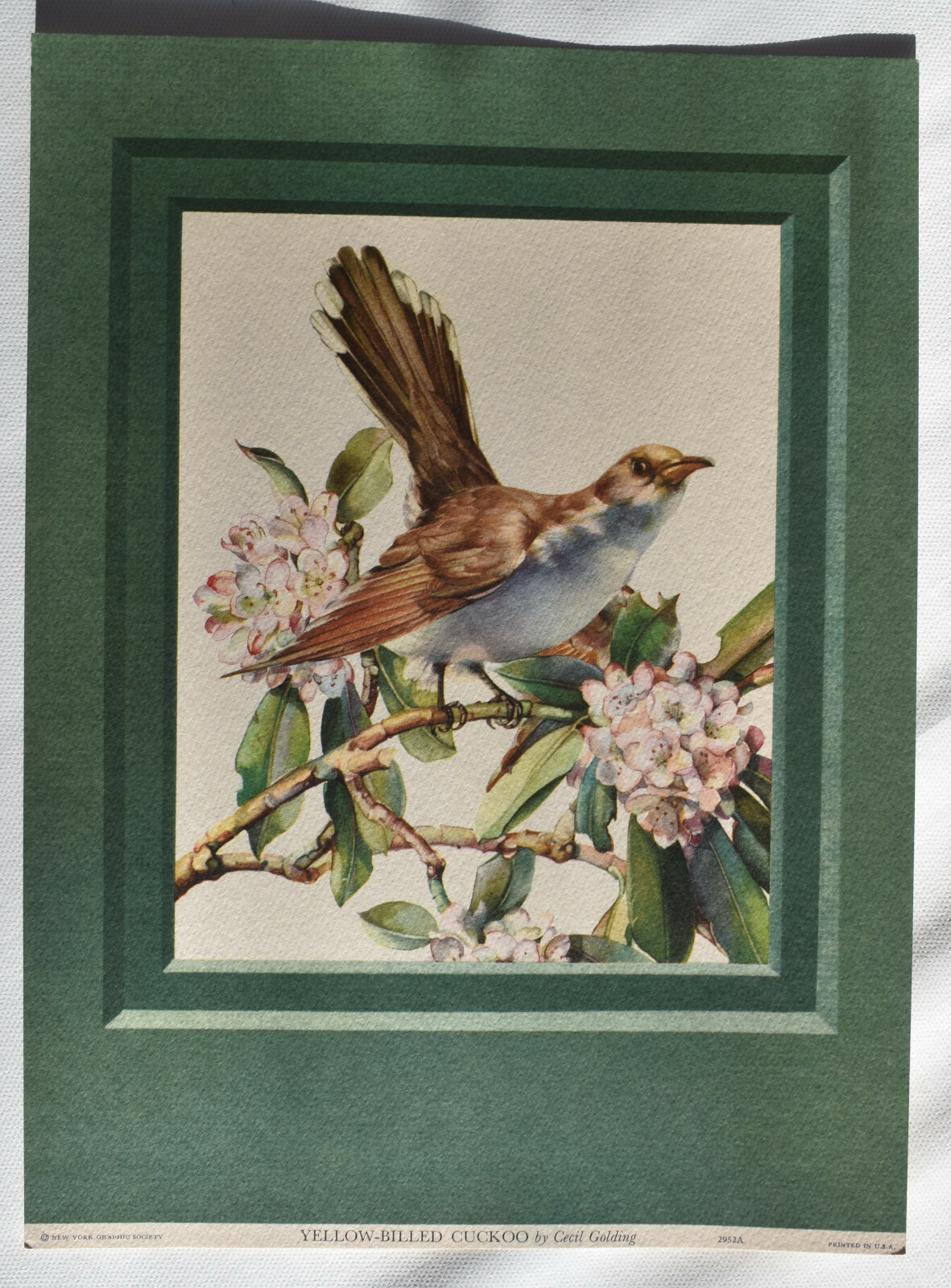 $_57.JPG?set_id=880000500F