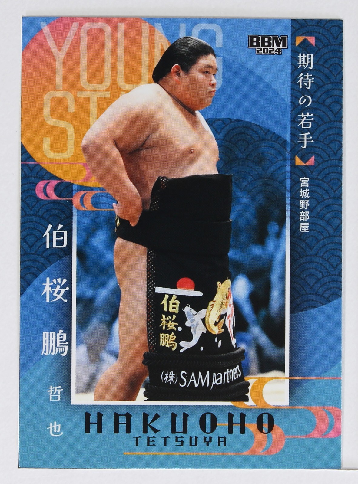 邦楽 tantomo HAKUOHO TETSUYA (Promising youth) - 2024 BBM Sumo Wrestling