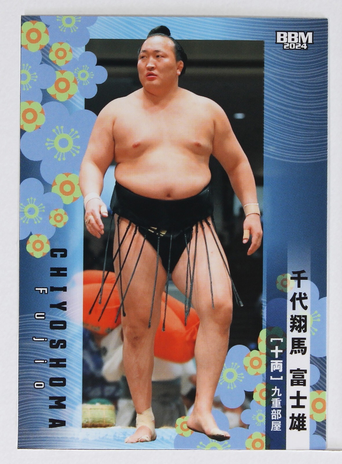 sumomo☆ Hokutofuji Daiki No.31 BBM Sumo Wrestler Trading Card Japan