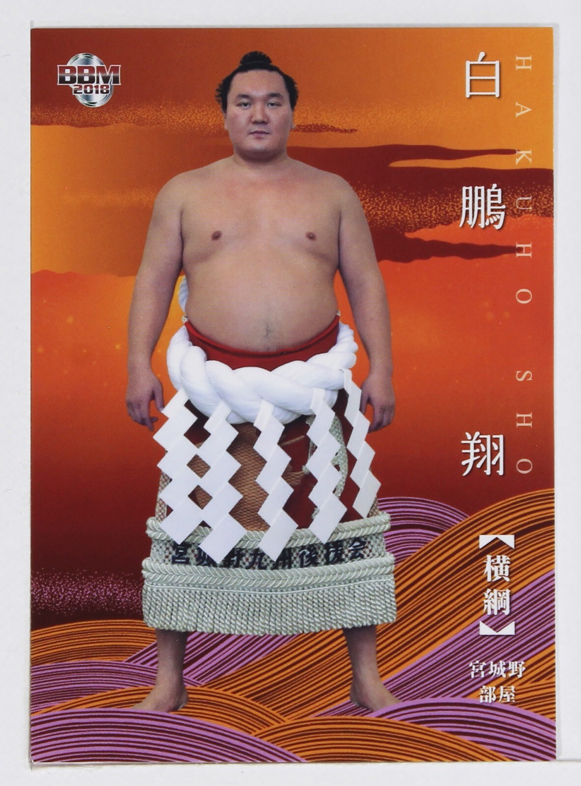THE SHISHIKUI boda / RED×WH Mサイズ boda / RED×WH – SHISHIKUI